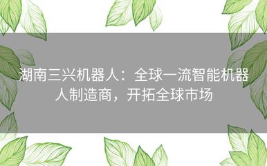 湖南三兴机器人:全球一流智能机器人制造商,开拓全球市场